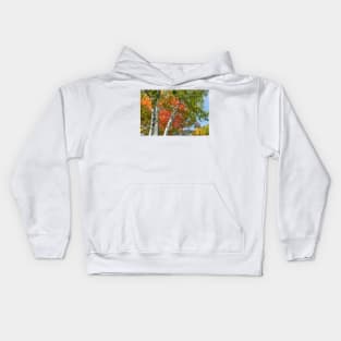 Birch trees in fall Kids Hoodie